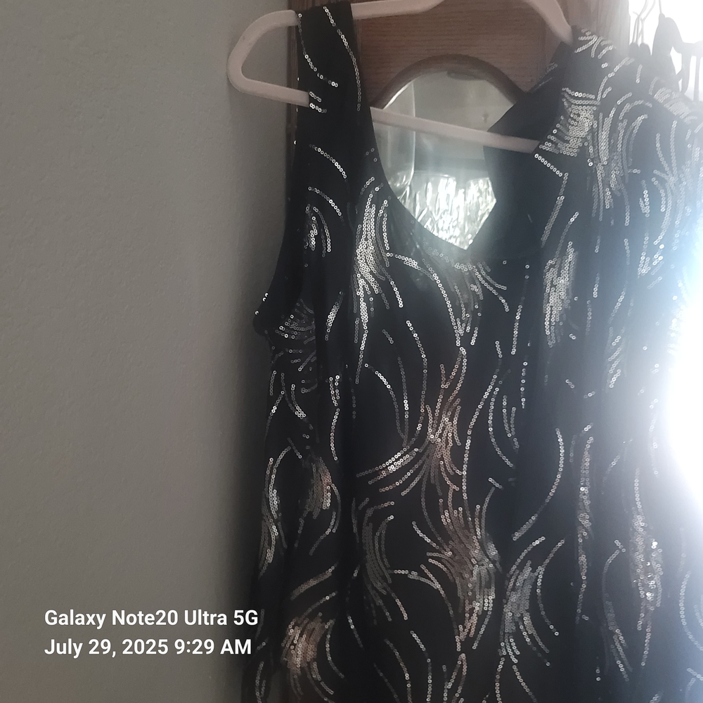 Alex Evenings Black and Silver Gown